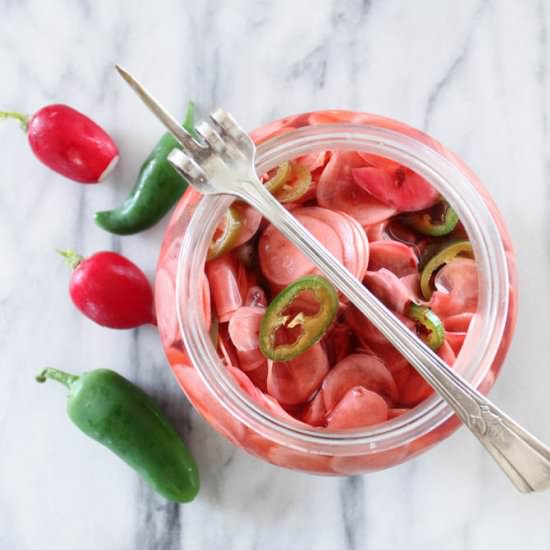 Overnight Pickled Jalapeño Radishes - Recipe photo by kneadtocook