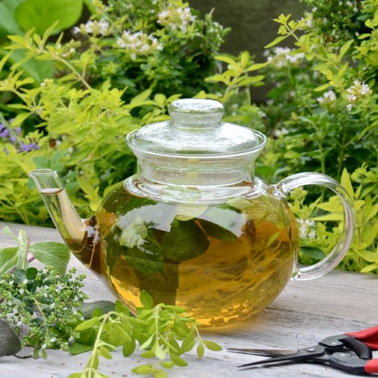 Herb Tea from Your Garden - Recipe photo by oliveoilandlemons