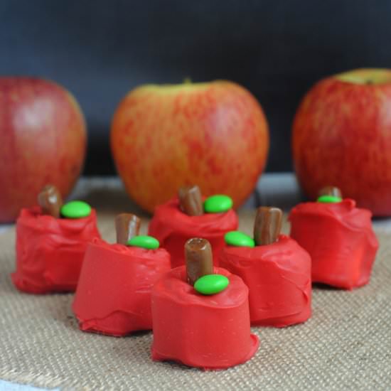 Apple Marshmallow Pops - Recipe photo by sherriOsborn