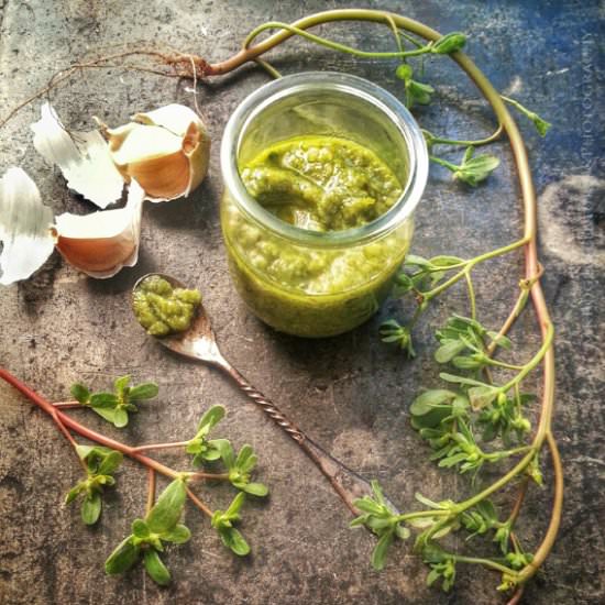 Purslane Pesto - Recipe photo by lostrecipesfound