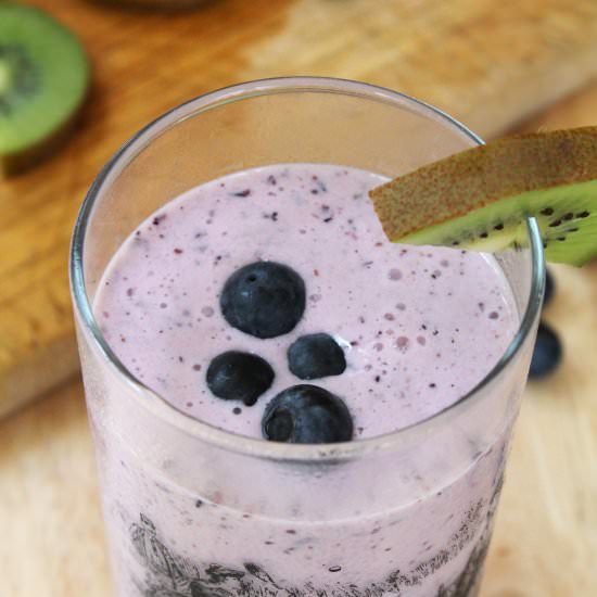 Blueberry-Kiwi Lemonade Shake - Recipe photo by TheSpiffyCookie