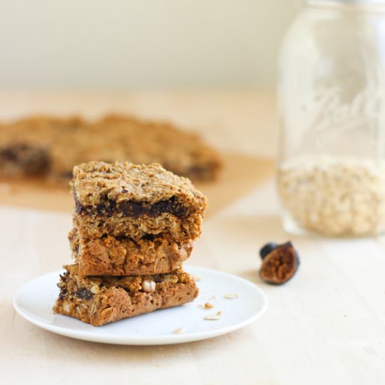 Oatmeal Fig Newton Bars - Recipe photo by making thyme for health