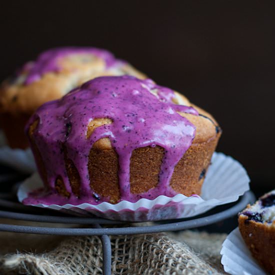 Blueberry Muffin w Blueberry Glaze - Recipe photo by heartsinmyoven