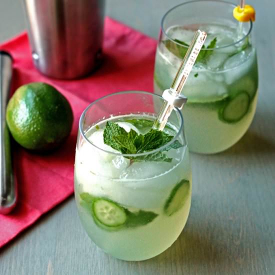 Mojito - Recipe photo by Cooks With Cocktails