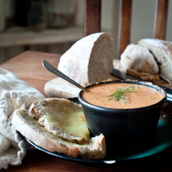 Fennel and Tomato Soup - Recipe photo by foodsofourlives