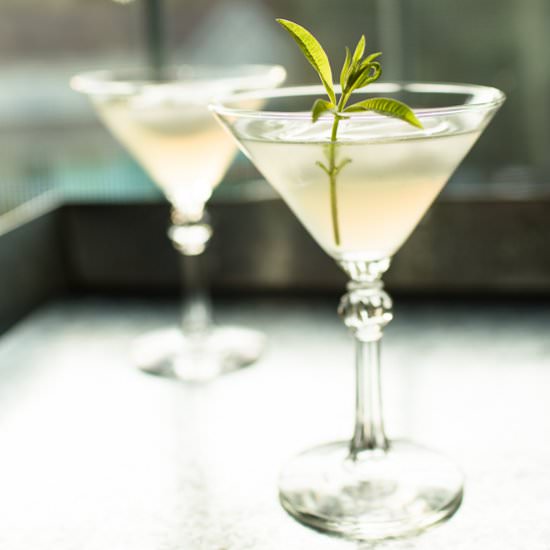 Lemon Verbena Cocktail - Recipe photo by sidewalkshoes