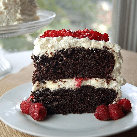 Wicked Chocolate Cake - Recipe photo by Amy in the Kitchen
