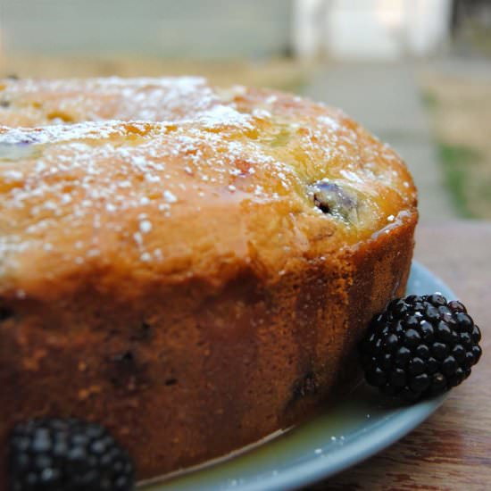 Blackberry Buttermilk Cake - Recipe photo by chubbysoul
