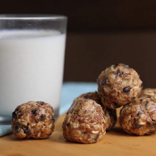 Gluten-Free Honey Oat Protein Bites - Recipe photo by brittanyspantry