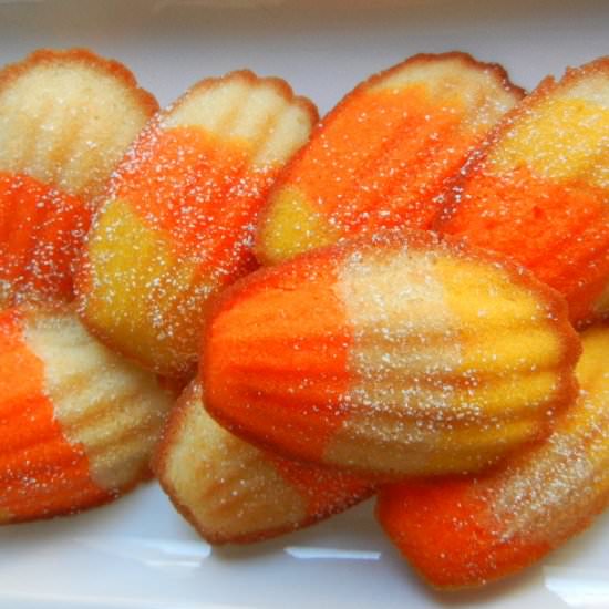 Candy Corn Madeleines - Recipe photo by sugarswings