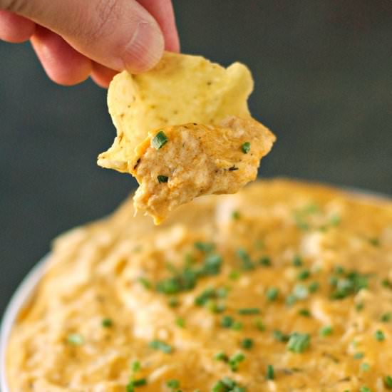 Crockpot Buffalo Chicken Dip - Recipe photo by slowcookergourmet