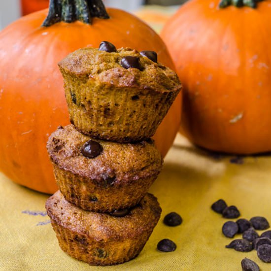 Coconut Flour Pumpkin Muffins - Recipe photo by savedbythekale