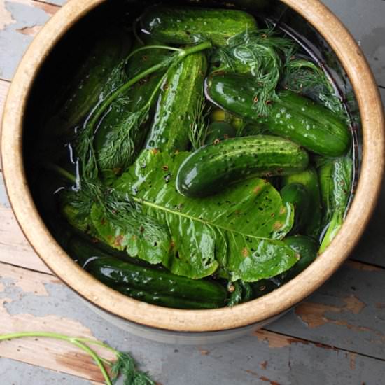 Fermented Pickles - Recipe photo by theartofdoingstuff