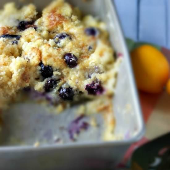 Lemon Blueberry Cake - Recipe photo by sewlicious