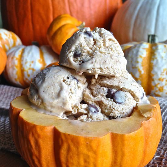 Dairy-Free Pumpkin Ice Cream - Recipe photo by youreananimal