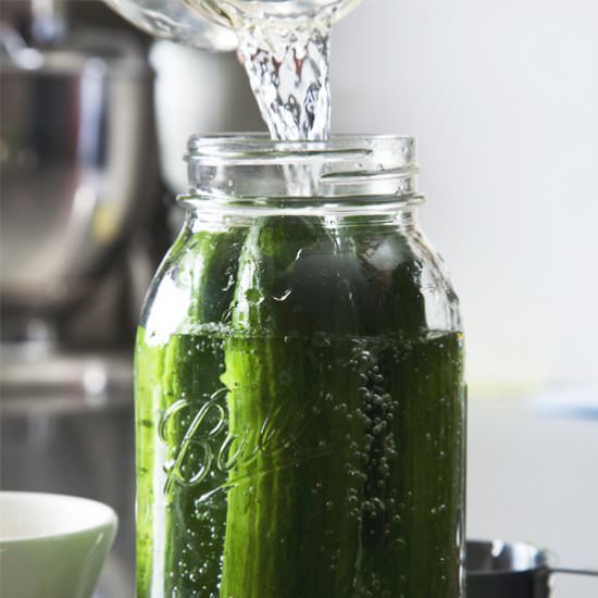 How to Make Pickles - Recipe photo by PicklesNHoney