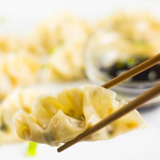 Chinese Dumplings (Potstickers) - Recipe photo by jessicainthekitchen