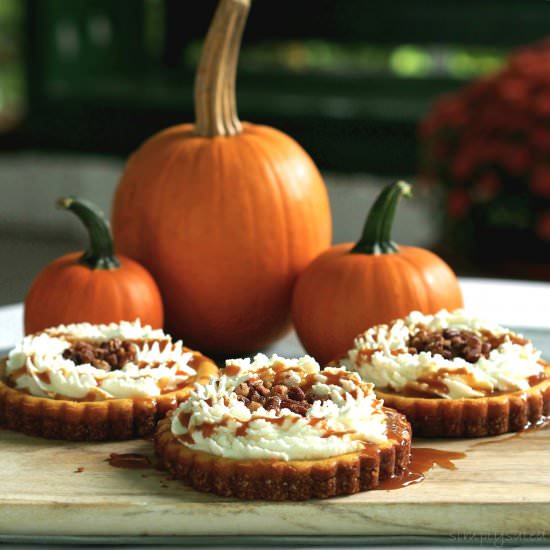 Pumpkin Pie Cheesecake - Recipe photo by simply sated
