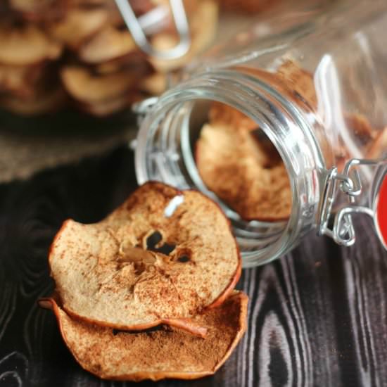 Oven Dried Cinnamon Apple Rings - Recipe photo by frugalmomeh