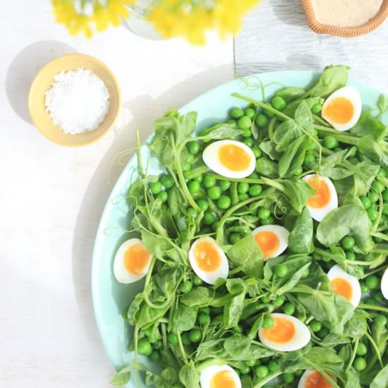 Double Pea and Quail Egg Salad - Recipe photo by THE KAWAII KITCHEN