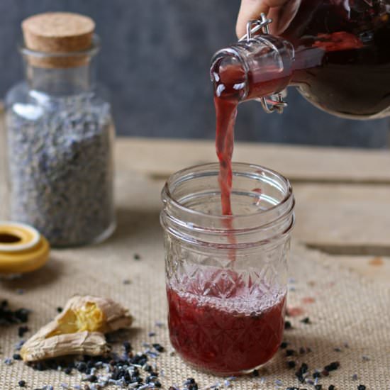 Homemade Elderberry Kombucha - Recipe photo by Naturally Loriel
