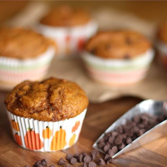 Pumpkin-Chocolate Chip Muffins - Recipe photo by Two Healthy Kitchens