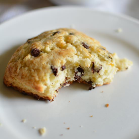 Chocolate Chip Orange Zest Scones - Recipe photo by SprinkledWithJules