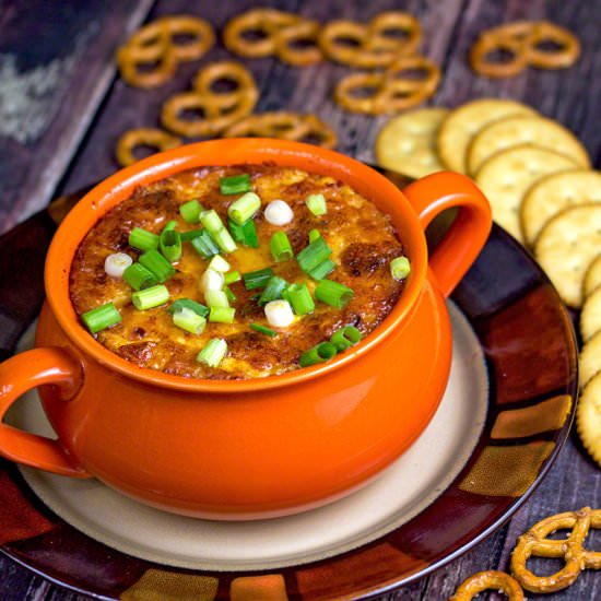 Chipotle Onion Cheese Dip - Recipe photo by The Midnight Baker