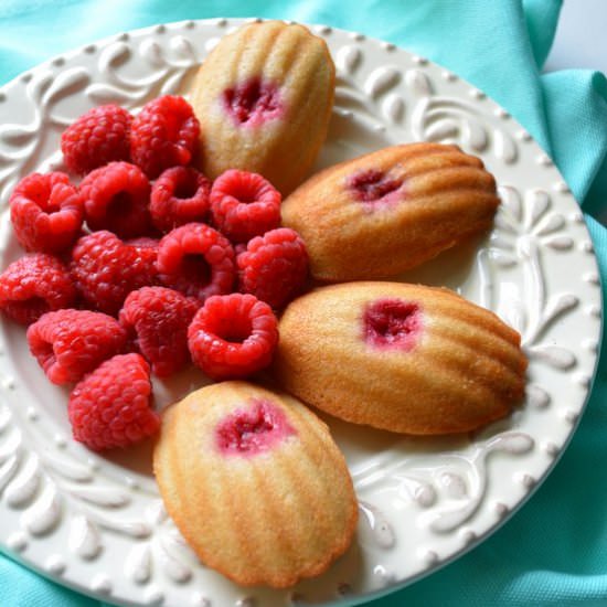 Madeleines - Recipe photo by INKEYPINKEY