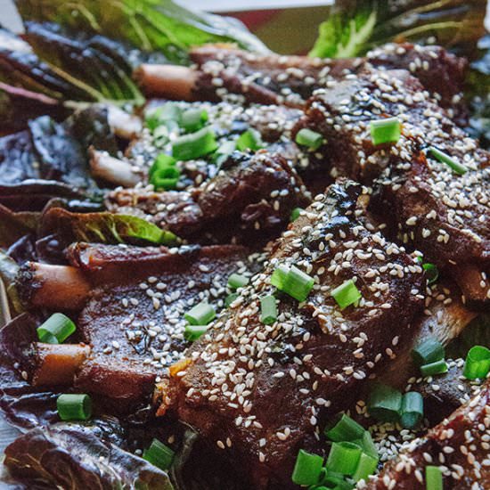Soy & Ginger Crock-Pot Pork Ribs - Recipe photo by SoLetsHangOut