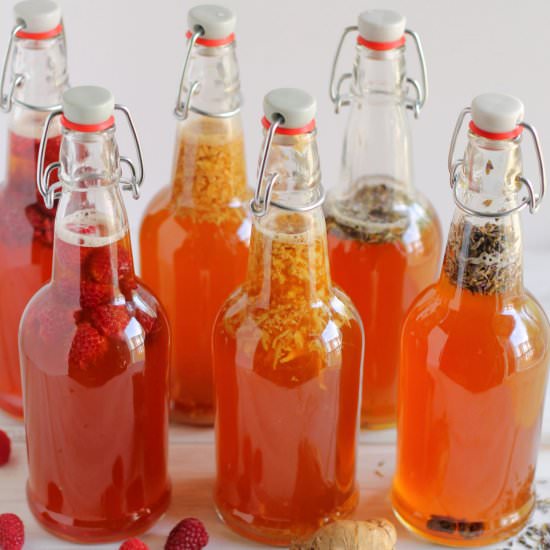 How to Make Kombucha - Recipe photo by strictlydelicious