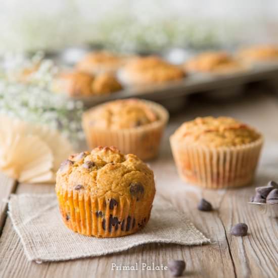 Chocolate Chip Pumpkin Muffins - Recipe photo by PrimalPalate