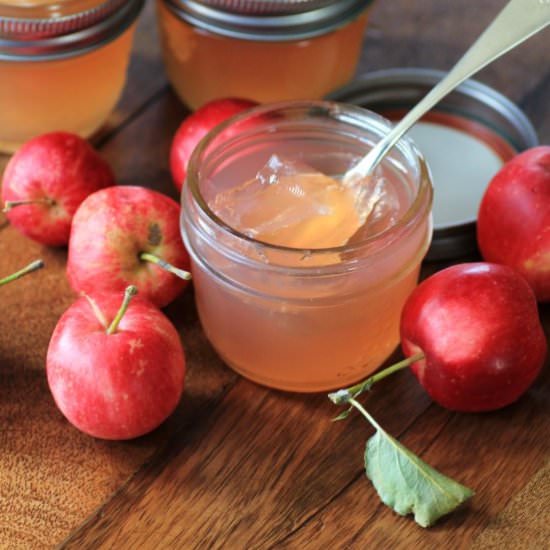 Crabapple Jelly - Recipe photo by noshingwiththenolands