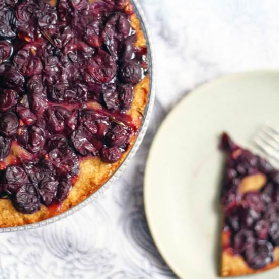 Concord grape tart - Recipe photo by sevengrams