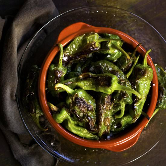 Gernika Chilies - Recipe photo by SpicieFoodie