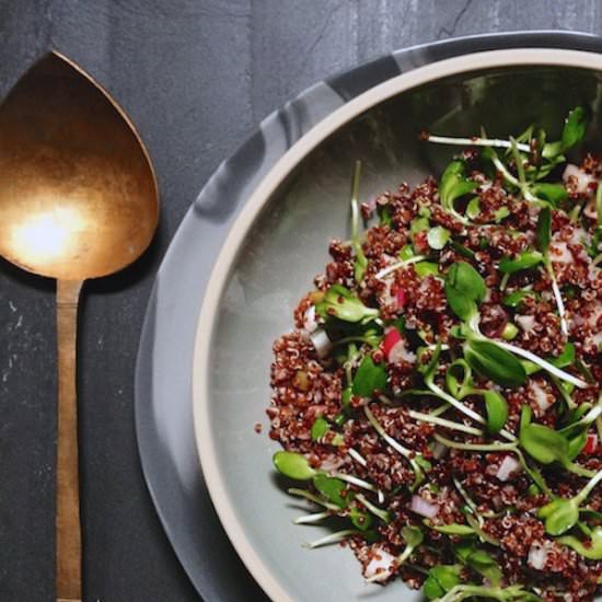 Red Quinoa Salad with Microgreens - Recipe photo by FeedMeDearly