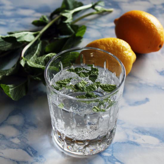 Refreshing Mint and Lemon Mocktail - Recipe photo by The Makers Society