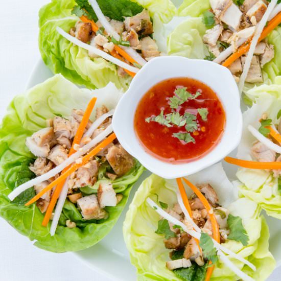 Thai Chicken Lettuce Wraps - Recipe photo by Just One Cookbook
