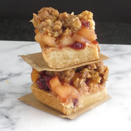 Apple cranberry walnut bars - Recipe photo by garlic and zest