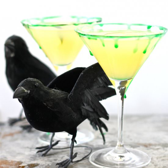 Slimy Limey Gin Cocktails - Recipe photo by perpetuallyhungry