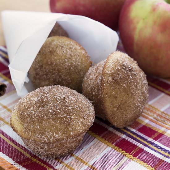 Cider Doughnut Muffins - Recipe photo by stripedspatula