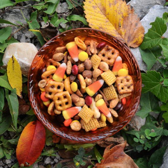 Sweet & Salty Halloween Snack Mix - Recipe photo by theminiaturemoose