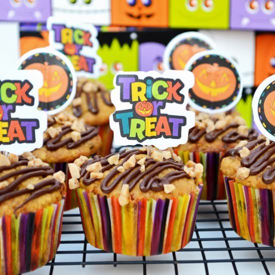 Pumpkin Toffee Banana Muffins - Recipe photo by Breezy Bakes