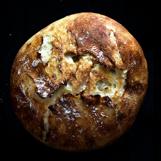 Fake your Sourdough - Recipe photo by Mandy Lee @ Lady and Pups