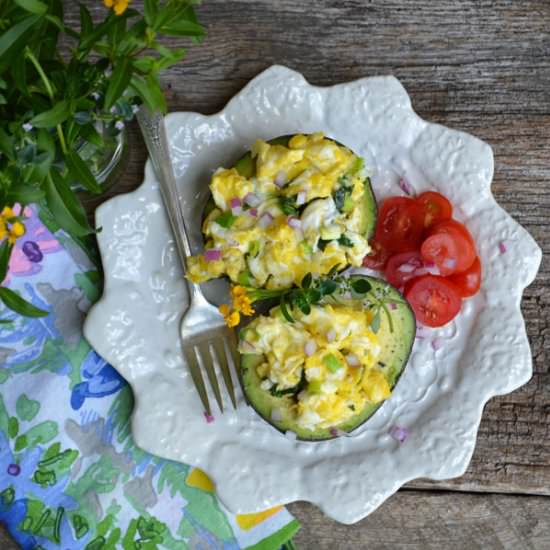 Herbed Scrambled Eggs in Avocado - Recipe photo by LemonyThyme