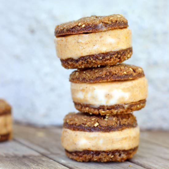 Chocolate Pumpkin IceCream Sandwich - Recipe photo by TreeseLoveHappiness