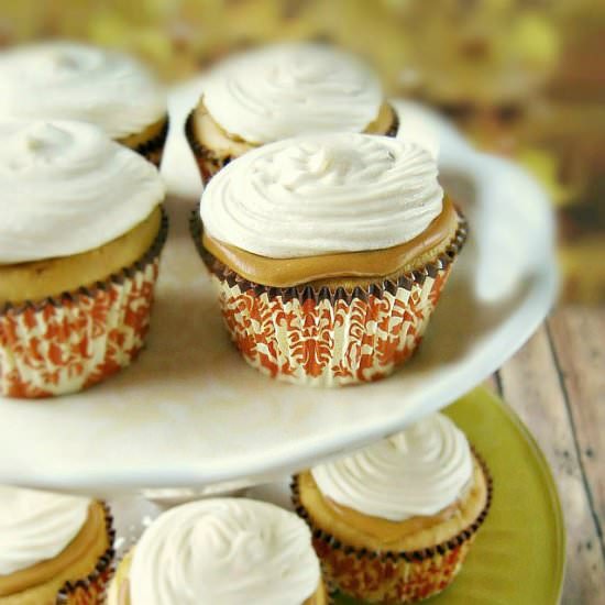 Maple Cupcakes with Maple Icing - Recipe photo by sewlicious