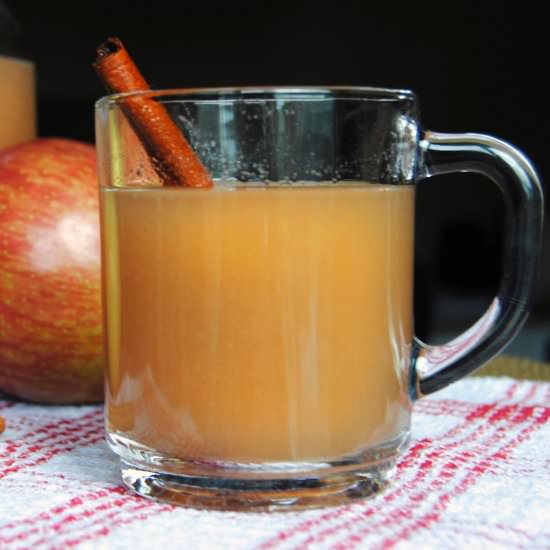 Spiced Apple Cider - Recipe photo by chubbysoul