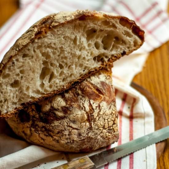 No Knead Bread (Sourdough Bread) - Recipe photo by addalittlelove