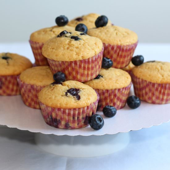 Blueberry Muffins - Recipe photo by T as Tasty